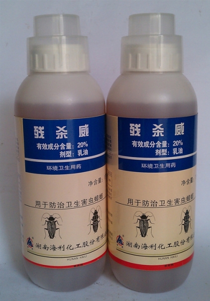 石家庄蟑螂防治