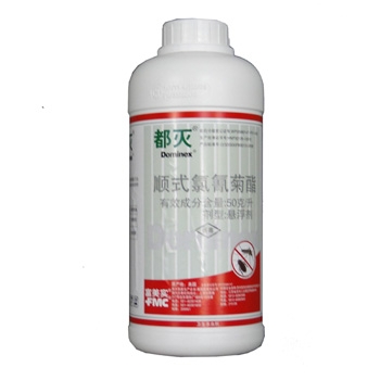 石家庄白蚁防治除虫尽